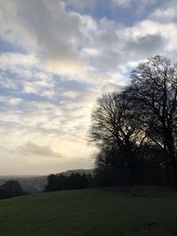 Bare trees on field against sky