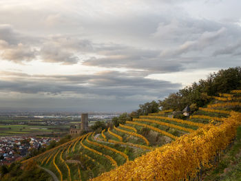 High angle view of agricultural field against sky