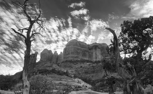 Low angle view of trees and mountain against sky