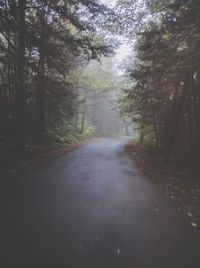 Empty road along trees in forest