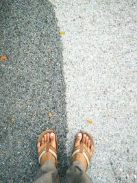 Low section of man standing on road