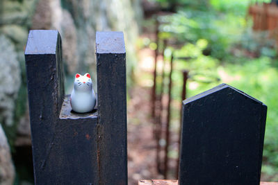 Close-up of stuffed toy on fence