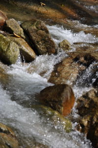 Stream flowing through rocks