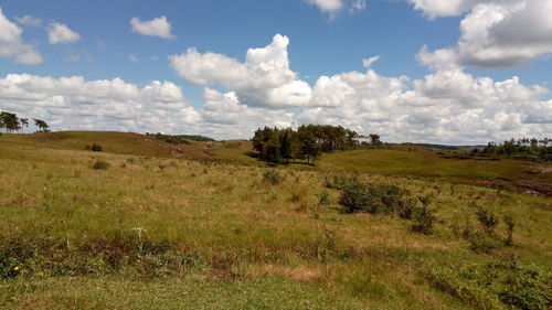 Scenic view of cloudy sky