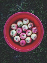 High angle view of fruits in bowl