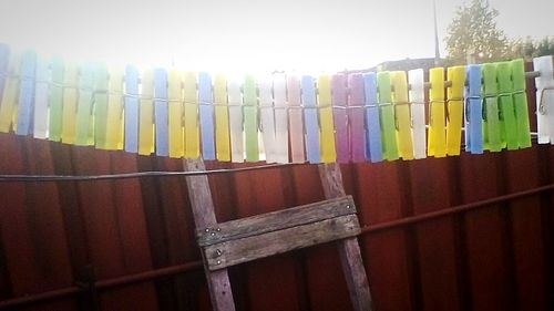 Close-up of clothes drying on clothesline