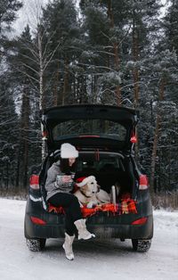 View of dog in car