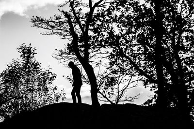 Low angle view of silhouette trees against sky