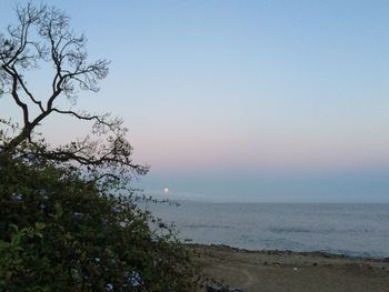 Scenic view of sea against clear sky at sunset