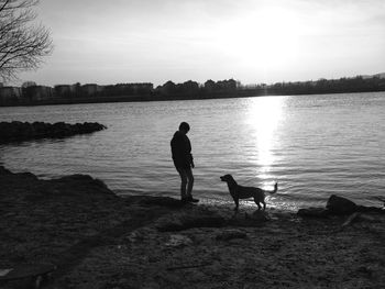 Silhouette young man and dog at  danube river in vienna.