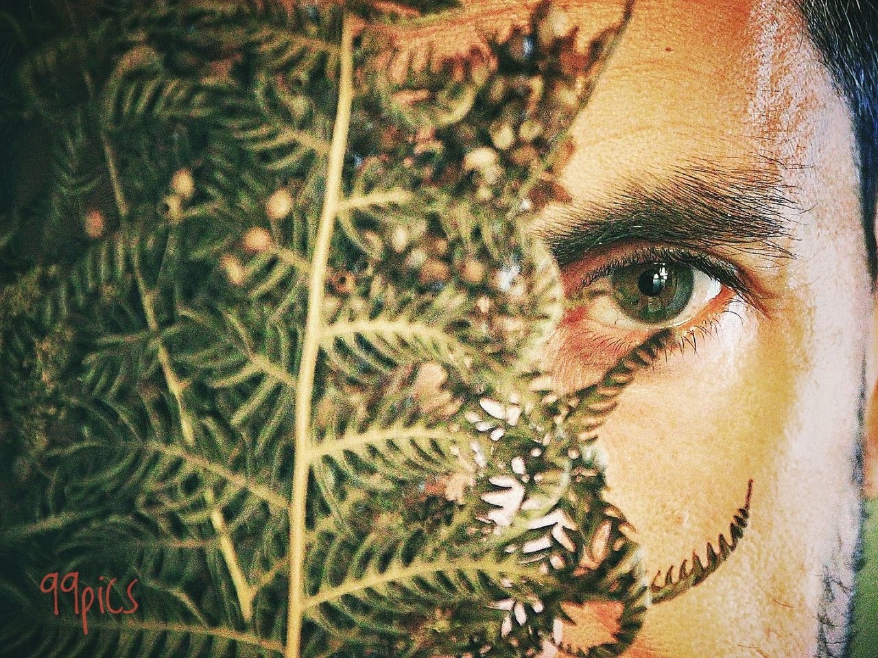 portrait, one person, human body part, body part, human face, looking at camera, men, close-up, headshot, plant, human eye, adult, eye, green color, real people, young adult, tree, males, contemplation