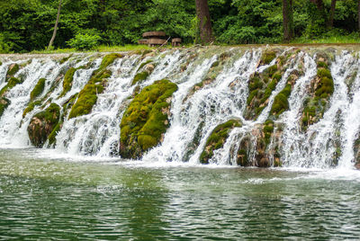 Scenic view of waterfall in forest