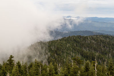 Scenic up close view of mountains against fog