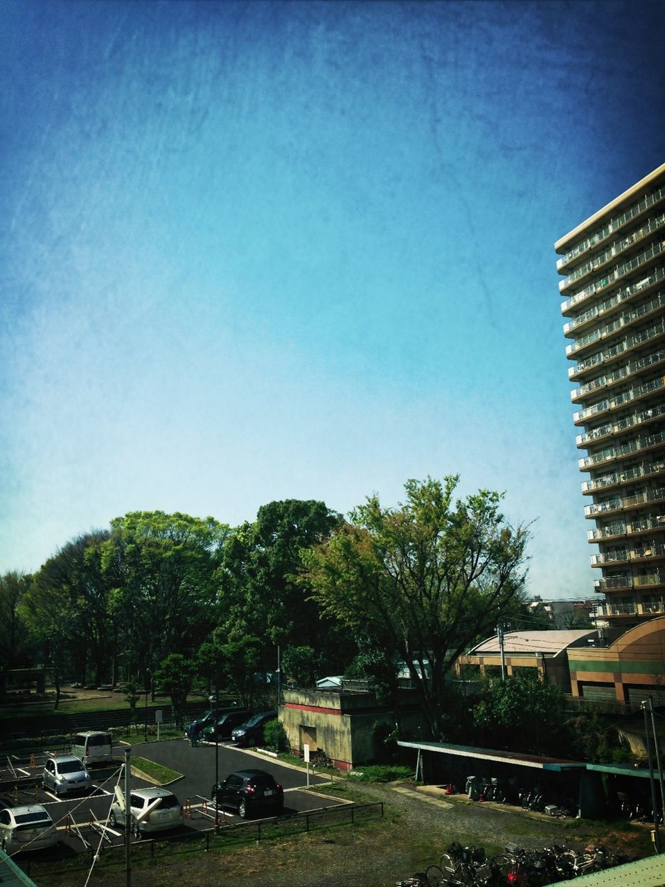 building exterior, architecture, built structure, tree, blue, clear sky, car, city, transportation, land vehicle, sky, mode of transport, sunlight, copy space, road, growth, street, building, day, outdoors