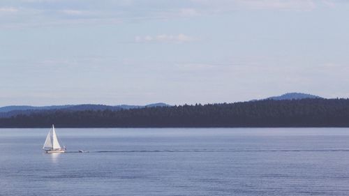 Boats sailing in sea