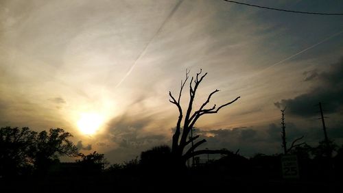 Silhouette trees on landscape against sky at sunset