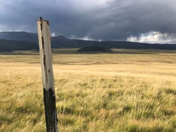 Wooden posts on field against sky