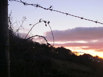 Silhouette of barbed wire against sky at sunset