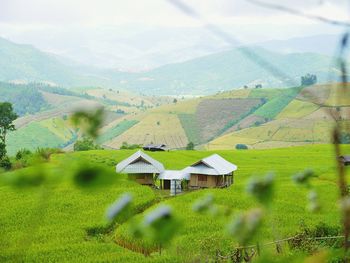 Houses on field by mountains against sky