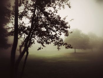 Scenic view of field in foggy weather