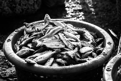 Close-up of meat in bowl