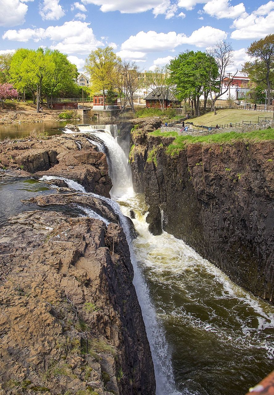 water, flowing water, tree, flowing, nature, stream, motion, beauty in nature, waterfall, scenics, sky, river, tranquil scene, rock - object, tranquility, day, outdoors, plant, long exposure, the way forward