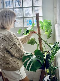 Rear view of woman holding plant by window