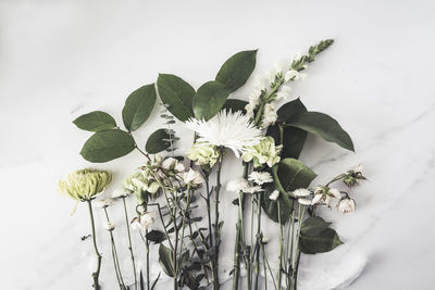 Variety of white flowers and greenery laying on white surface