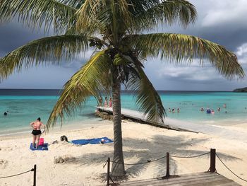 Palm tree on beach against cloudy sky