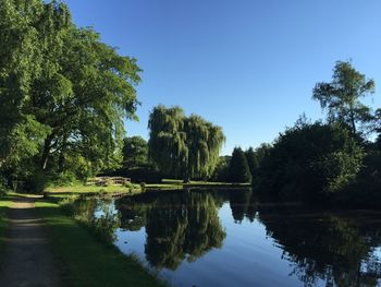 Reflection of trees in calm lake