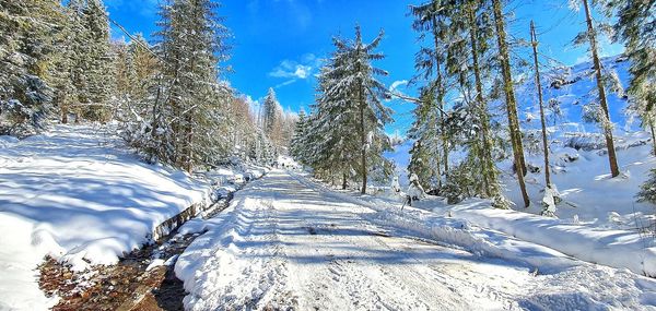 Snow covered land against sky