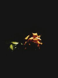 Close-up of flowers against black background