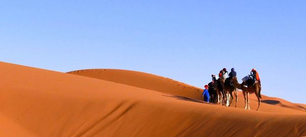 Tourists at desert against clear sky