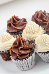 Miniature chocolate cupcakes with chocolate and vanilla topping