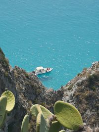 High angle view of man swimming in sea