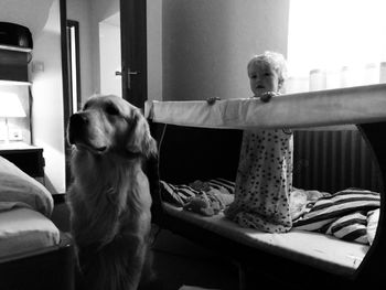 Dog looking away while sitting on chair at home