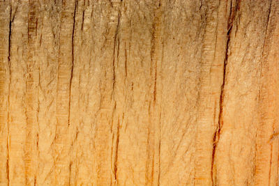 Full frame shot of wooden plank