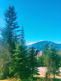 Scenic view of snow covered mountains against clear blue sky