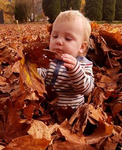 Close-up of cute baby boy playing with dry leaves at park during autumn