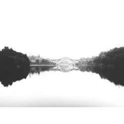 Reflection of trees in calm lake