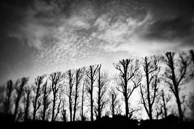 Low angle view of silhouette trees against cloudy sky