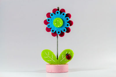 Close-up of multi colored plant on table against white background
