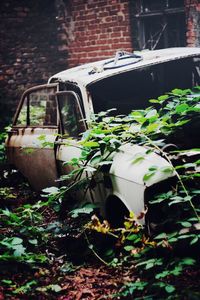 Close-up of abandoned car