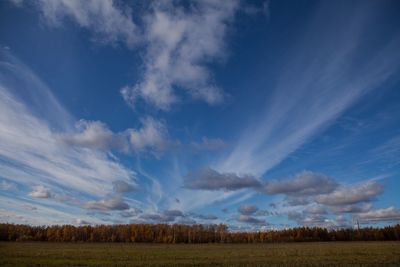 Scenic view of field against blue sky