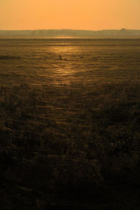 Scenic view of field against sky at sunset