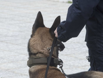 Low section of person with dog