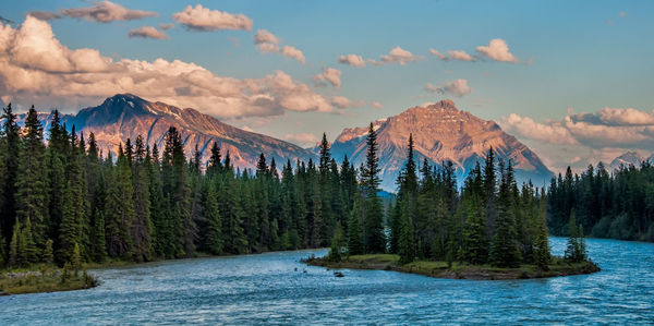 Panoramic view of river amidst trees against sky