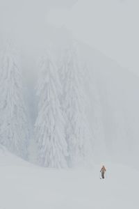 Girl skiing on snow covered landscape