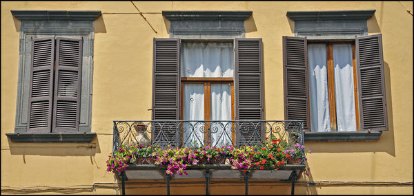 Flowers in balcony of building