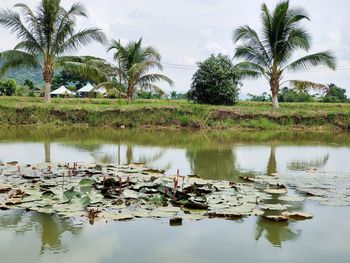 Scenic view of lake against sky